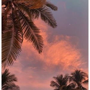 Meet your Posher, Eva